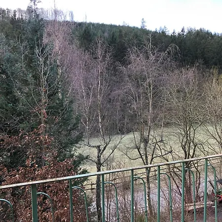 Fewo Wald Idyllika Willingen  Exterior photo