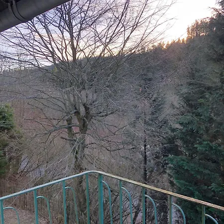 Fewo Wald Idyllika Willingen  Exterior photo