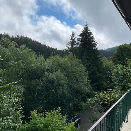 Fewo Wald Idyllika Willingen  Exterior photo