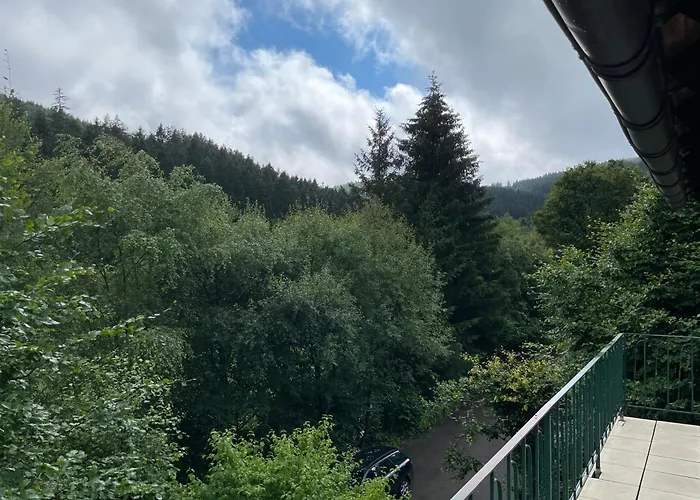Fewo Wald Idyllika