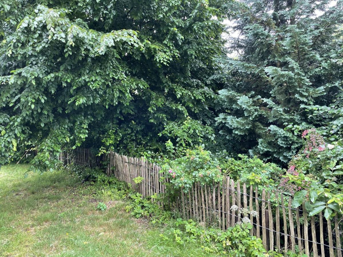 Apartment Wald Idyllika
