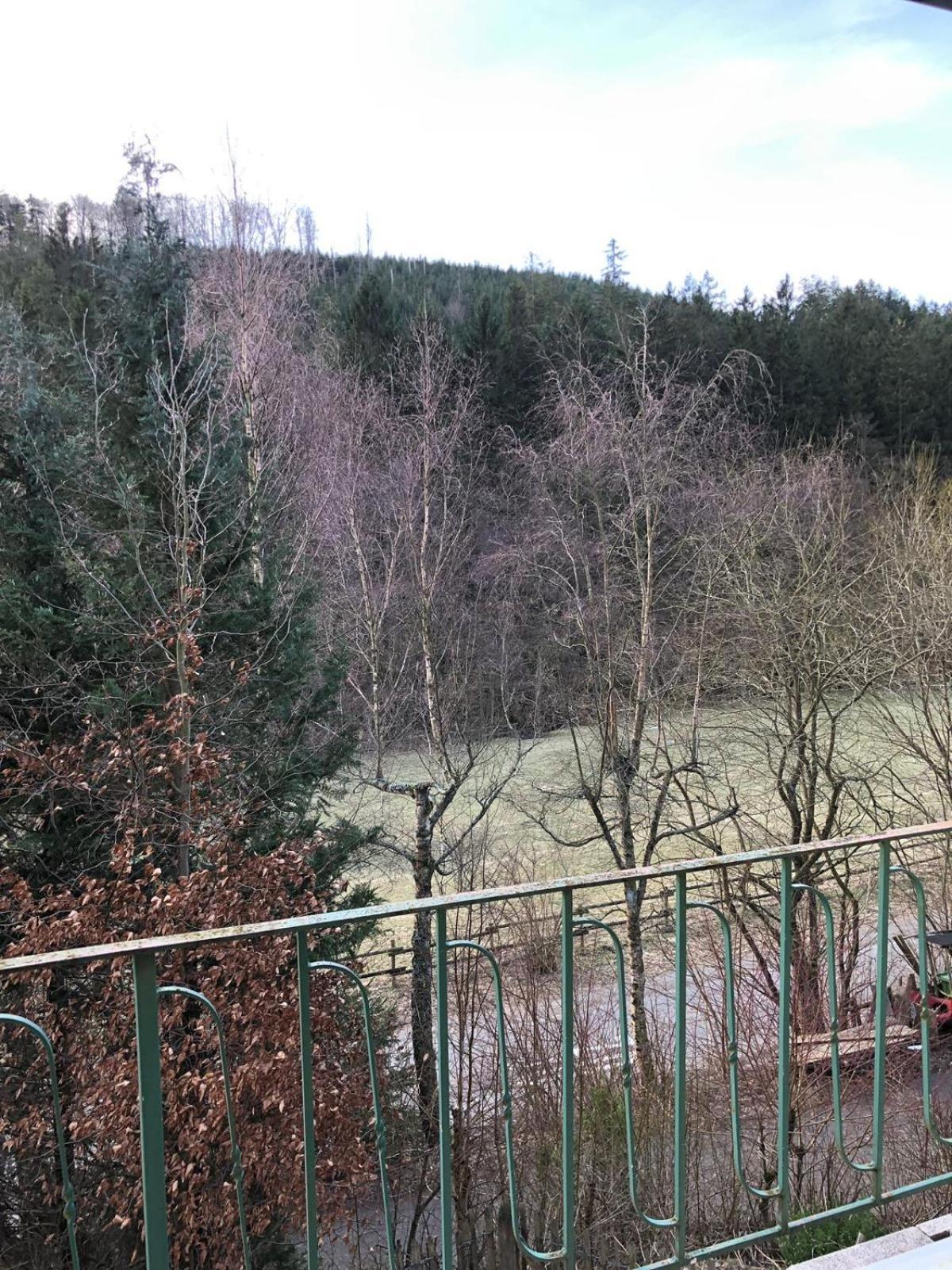 Wald Idyllika * Willingen (Upland)