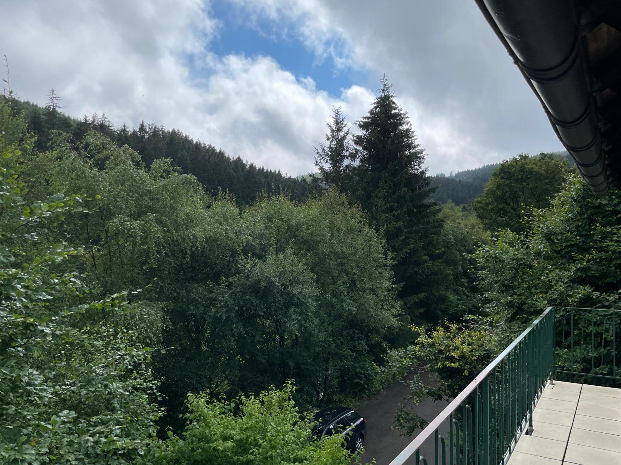Wald Idyllika * Willingen (Upland)